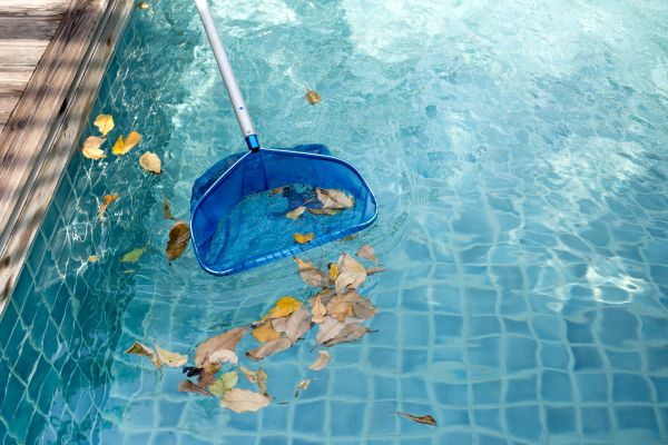 Pool Leaf Cleaning