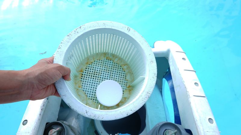 Pool Leaf Debris Removal