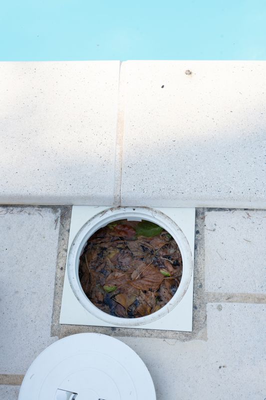 Pool Leaf Debris Removal