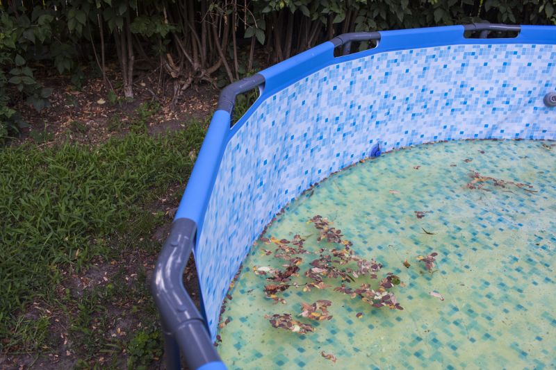 Completed Pool Cleanup